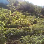вилна зона златни пясъци, спирка ален мак * Warna