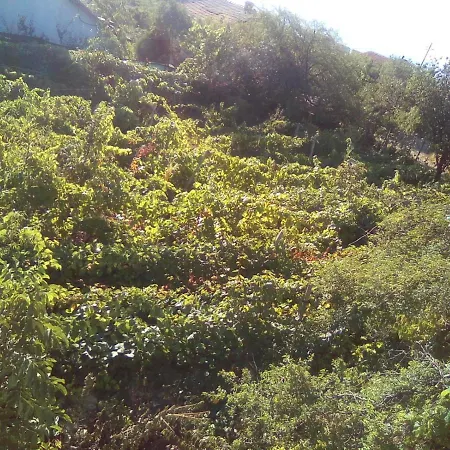 вилна зона златни пясъци, спирка ален мак * Warna