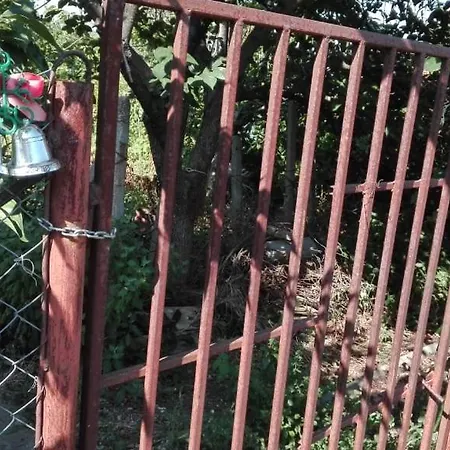 вилна зона златни пясъци, спирка ален мак Pensjonat Warna