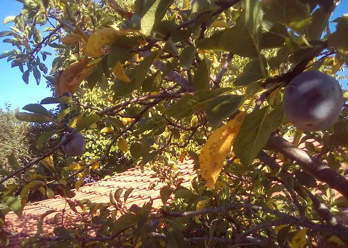 вилна зона златни пясъци, спирка ален мак Gasthof *