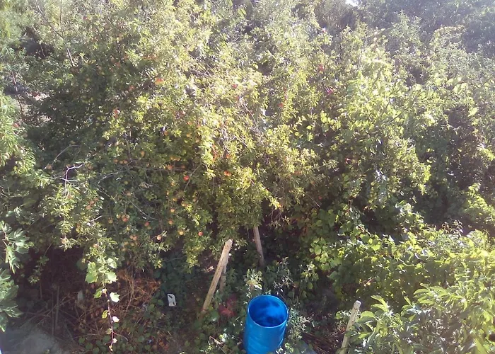 вилна зона златни пясъци, спирка ален мак Pensión